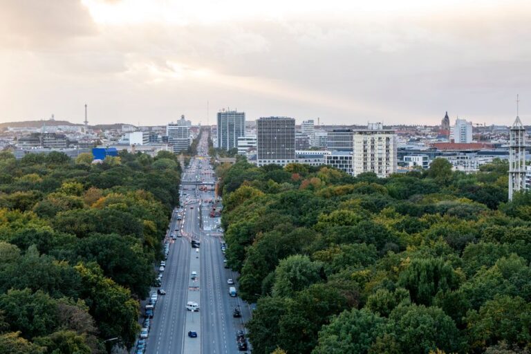 Gesunde Stadtbäume in Berlin Tiergarten